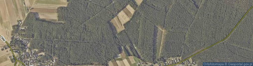 Zdjęcie satelitarne Ciemierów ul.