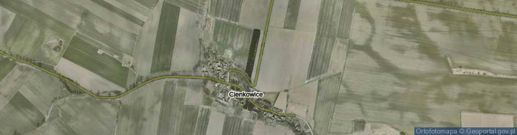 Zdjęcie satelitarne Cienkowice ul.