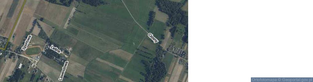 Zdjęcie satelitarne Ciosny ul.