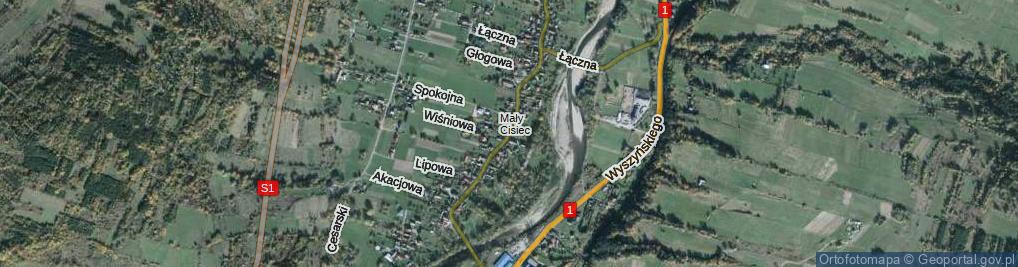 Zdjęcie satelitarne Cisowa ul.