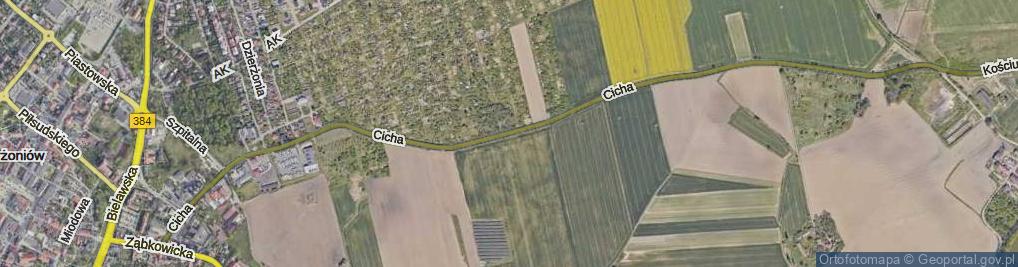 Zdjęcie satelitarne Cicha ul.