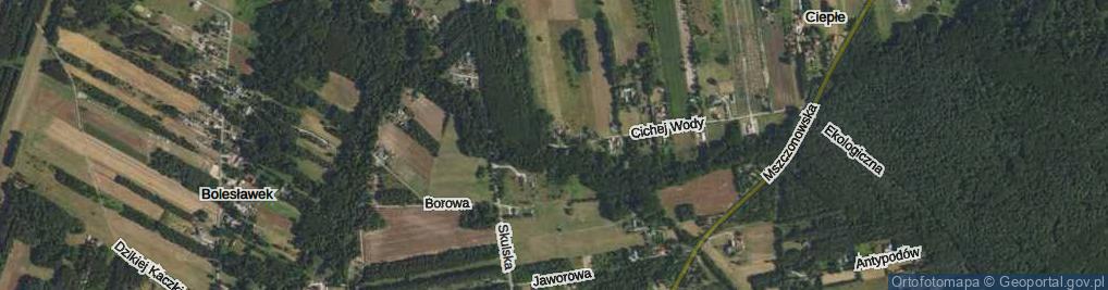 Zdjęcie satelitarne Cichej Wody ul.