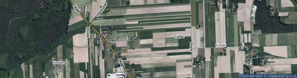 Zdjęcie satelitarne Cicha ul.