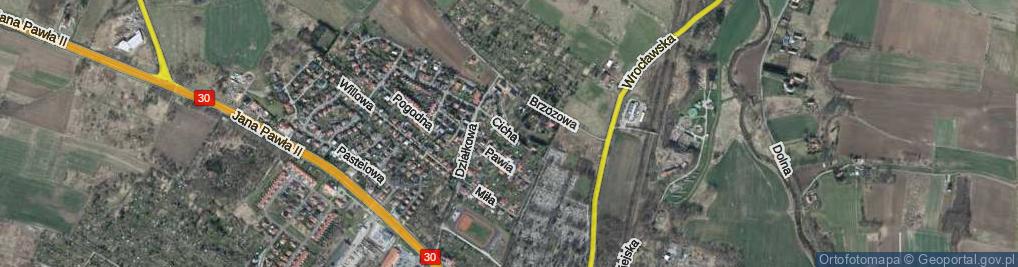 Zdjęcie satelitarne Cicha ul.