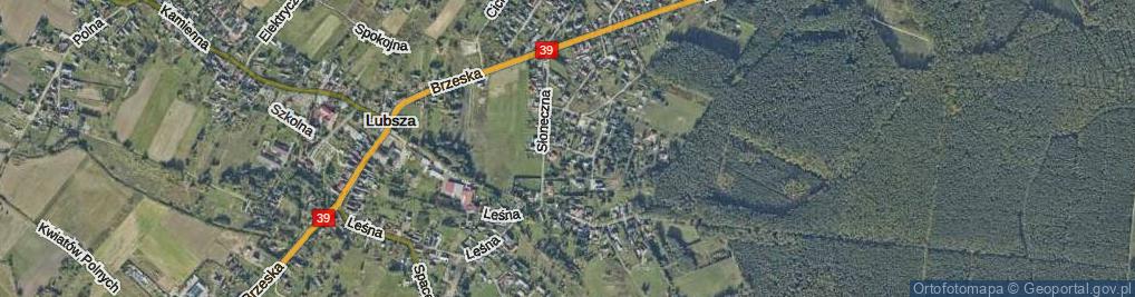 Zdjęcie satelitarne Cisowa ul.