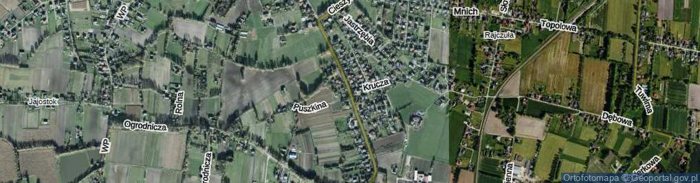 Zdjęcie satelitarne Cieszyńska ul.