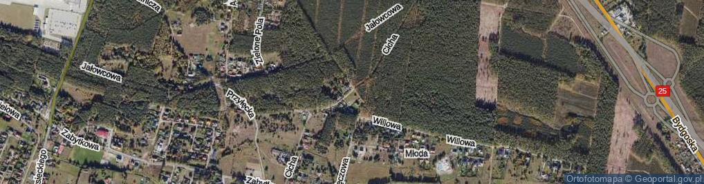 Zdjęcie satelitarne Cicha ul.