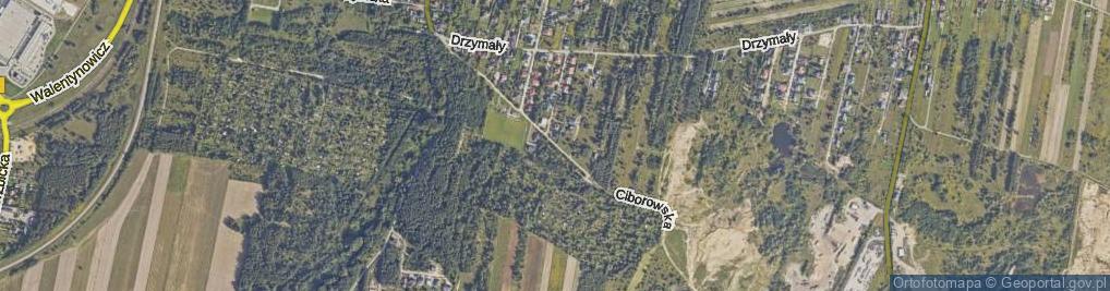 Zdjęcie satelitarne Ciborowska ul.