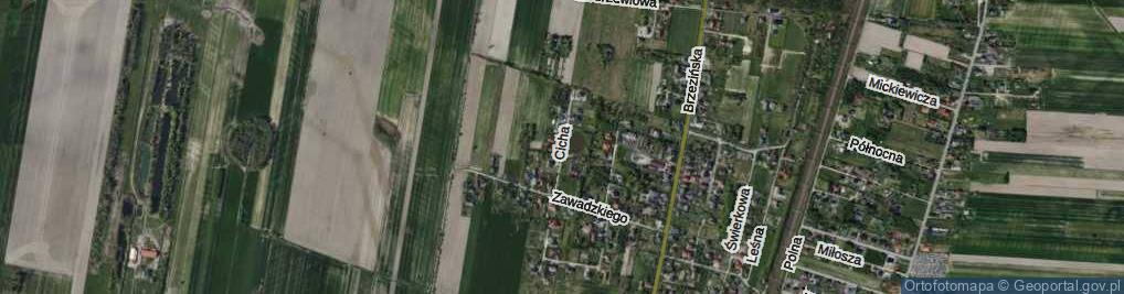 Zdjęcie satelitarne Cicha ul.