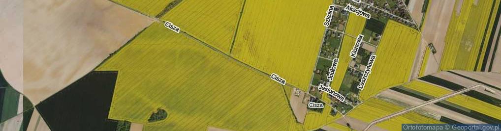 Zdjęcie satelitarne Cisza ul.
