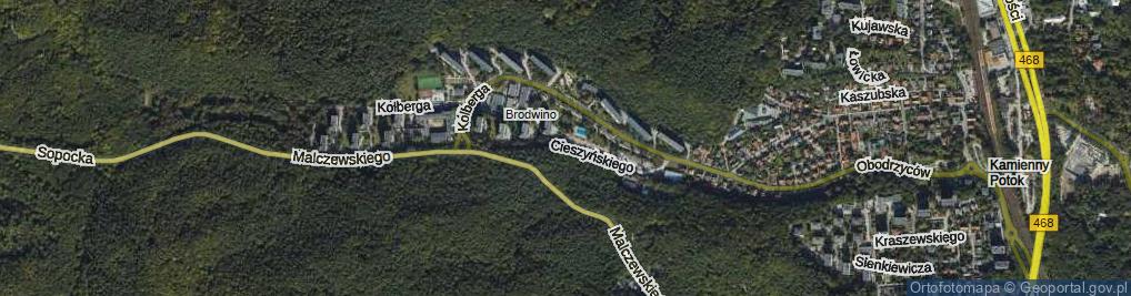 Zdjęcie satelitarne Cieszyńskiego Władysława ul.