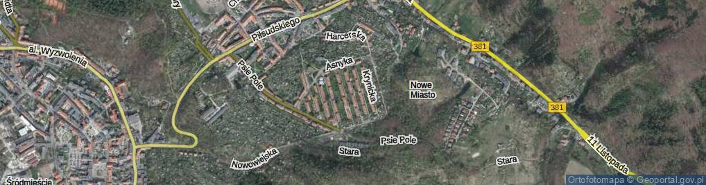 Zdjęcie satelitarne Ciechocińska ul.