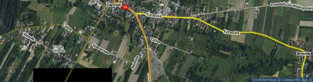Zdjęcie satelitarne Cicha ul.