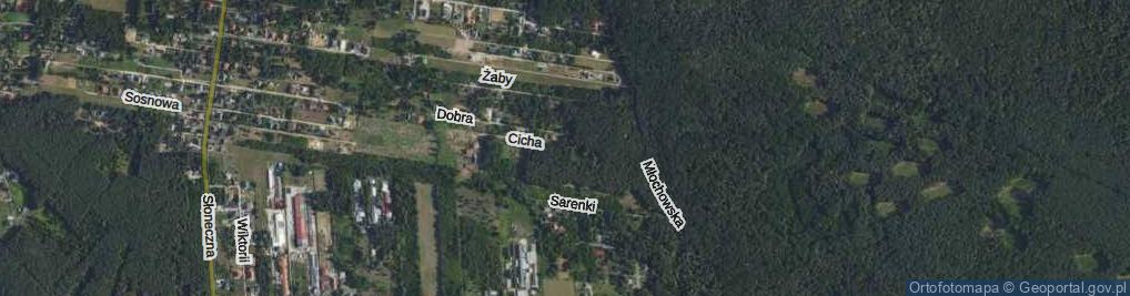 Zdjęcie satelitarne Cicha ul.