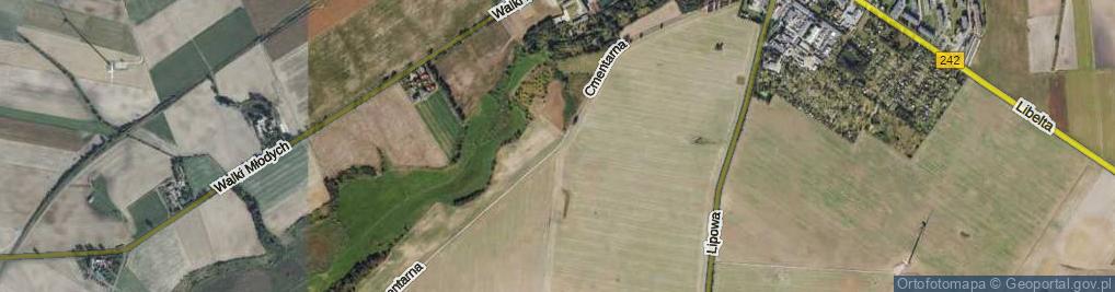 Zdjęcie satelitarne Cmentarna ul.