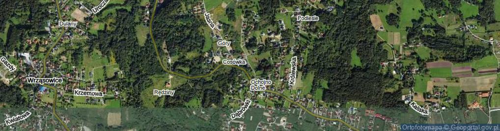 Zdjęcie satelitarne Cosówka ul.