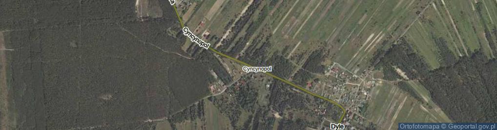 Zdjęcie satelitarne Cyncynopol ul.