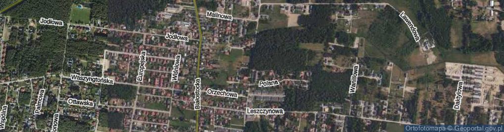 Zdjęcie satelitarne Cytrynowa ul.