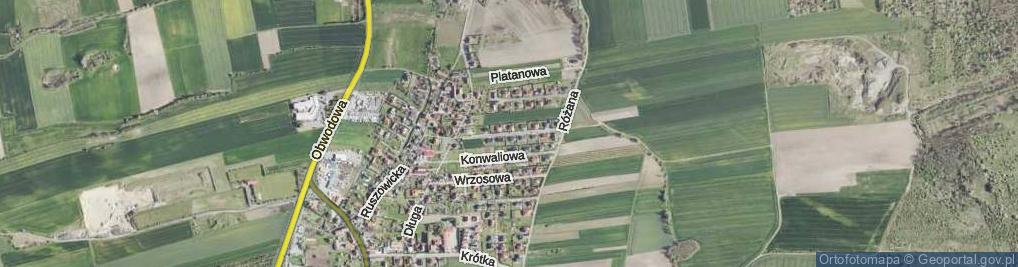 Zdjęcie satelitarne Cyprysowa ul.