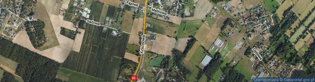 Zdjęcie satelitarne Cytrynowa ul.