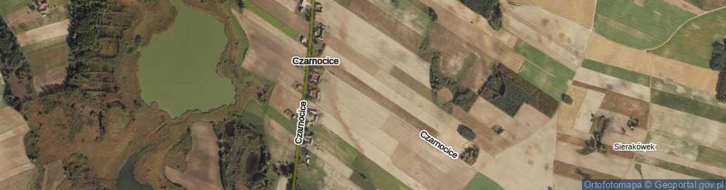 Zdjęcie satelitarne Czarnocice ul.