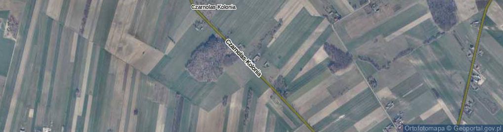 Zdjęcie satelitarne Czarnolas-Kolonia ul.
