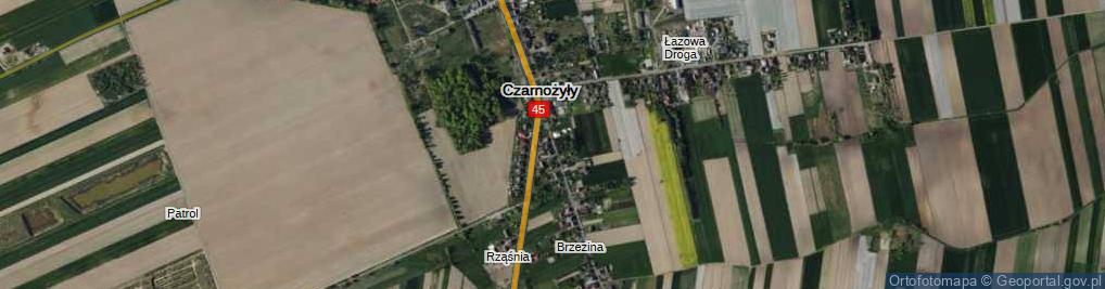 Zdjęcie satelitarne Czarnożyły ul.