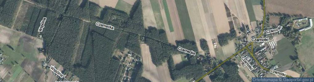 Zdjęcie satelitarne Czarnecka ul.