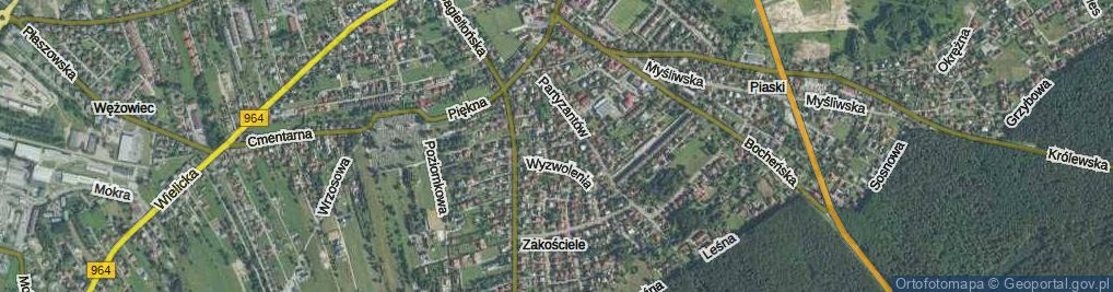 Zdjęcie satelitarne Czumy Waleriana, gen. ul.