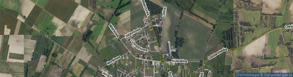 Zdjęcie satelitarne Czereśniowa ul.