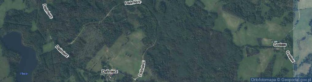 Zdjęcie satelitarne Dalimierz ul.