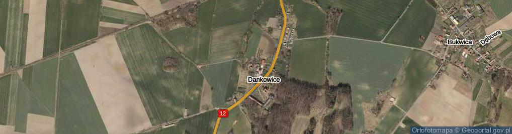 Zdjęcie satelitarne Dankowice ul.