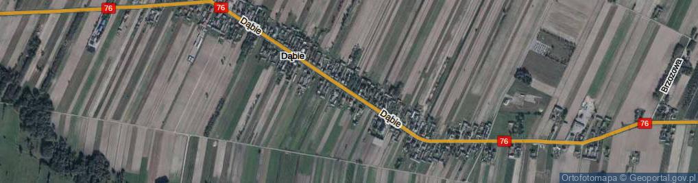 Zdjęcie satelitarne Dąbie ul.