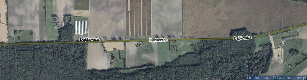 Zdjęcie satelitarne Dąbkowice ul.
