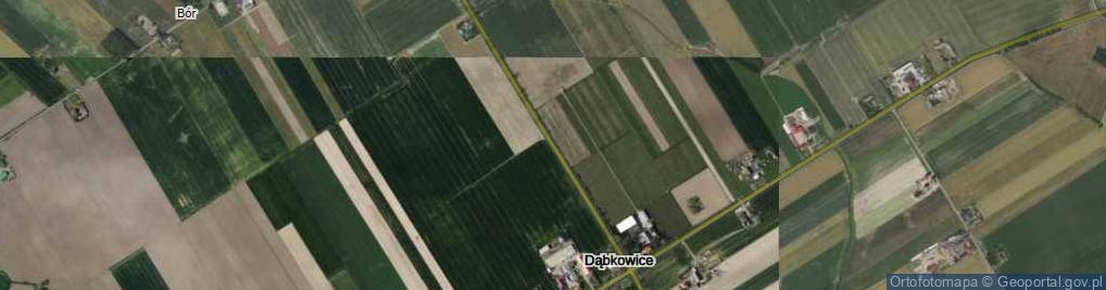 Zdjęcie satelitarne Dąbkowice ul.