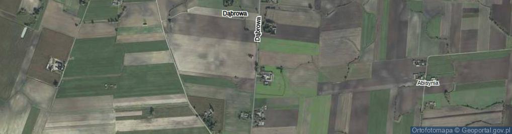 Zdjęcie satelitarne Dąbrowa ul.
