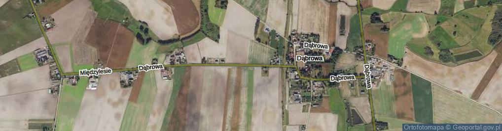 Zdjęcie satelitarne Dąbrowa ul.