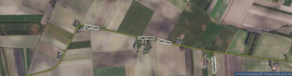 Zdjęcie satelitarne Dąbrowa ul.