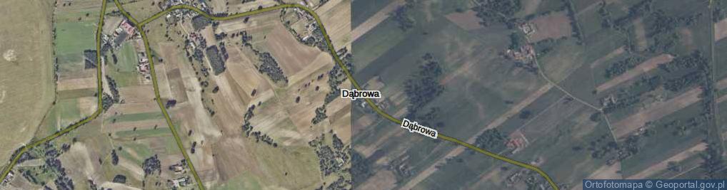 Zdjęcie satelitarne Dąbrowa ul.