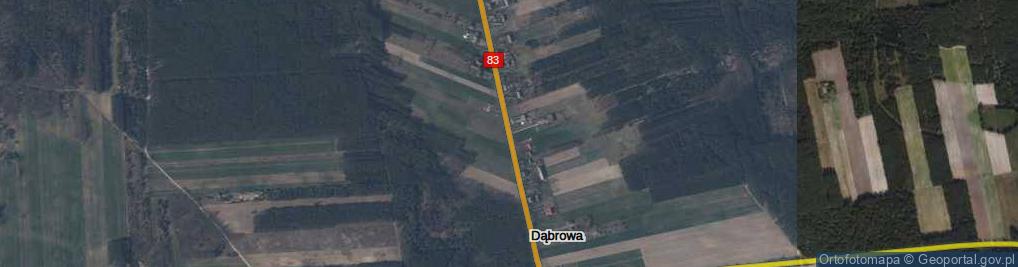 Zdjęcie satelitarne Dąbrowa ul.