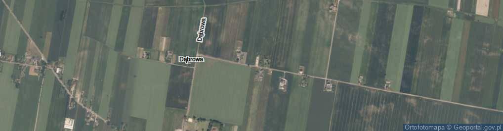 Zdjęcie satelitarne Dąbrowa ul.