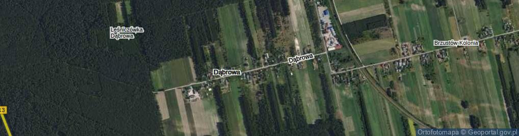 Zdjęcie satelitarne Dąbrowa ul.