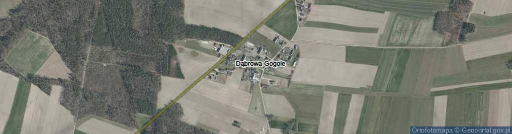 Zdjęcie satelitarne Dąbrowa-Gogole ul.