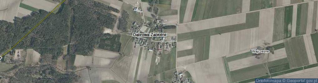 Zdjęcie satelitarne Dąbrowa-Zabłotne ul.