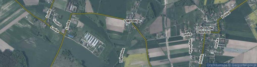 Zdjęcie satelitarne Dąbrowica ul.