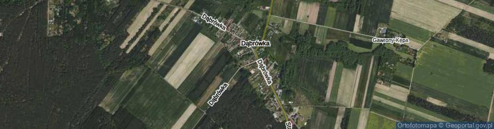 Zdjęcie satelitarne Dąbrówka ul.