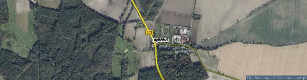 Zdjęcie satelitarne Dąbrówka ul.