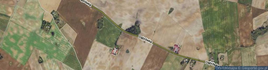 Zdjęcie satelitarne Dąbrówka ul.