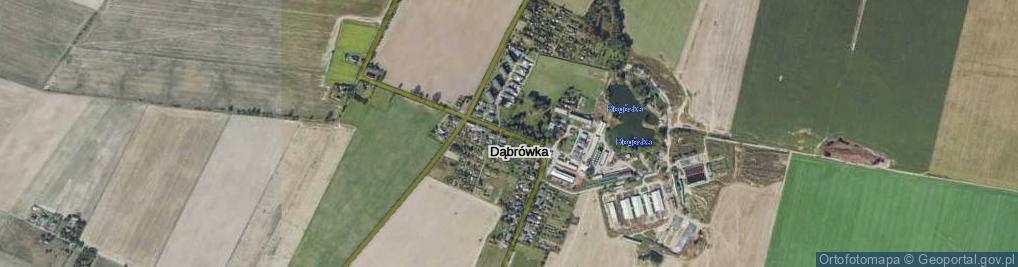 Zdjęcie satelitarne Dąbrówka ul.