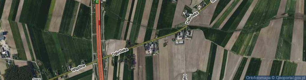 Zdjęcie satelitarne Dąbrówka ul.